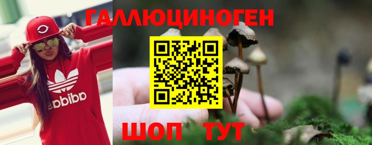 Ялта  Псилоцибиновые грибы Psilocybine cubensis  Вход с VPN 